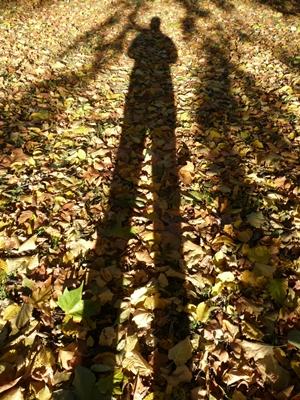 Transparenter Schatten